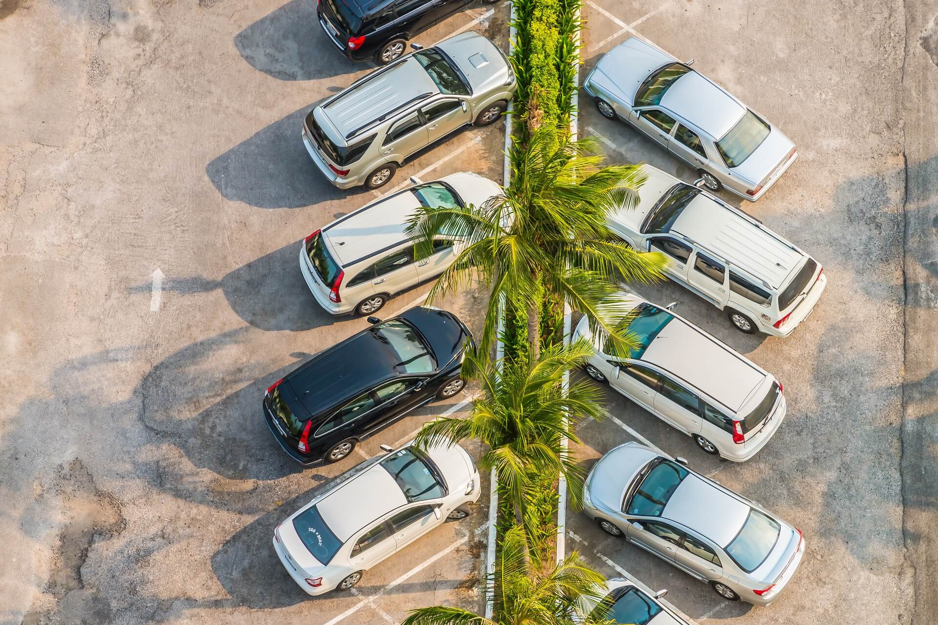 Qué significa fleet management